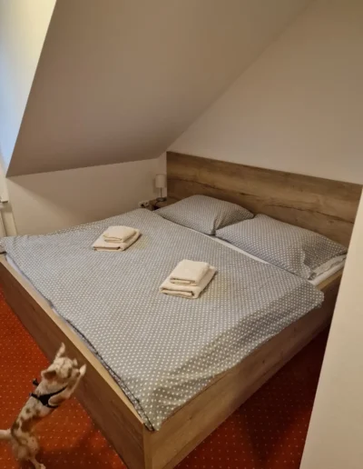 Dvoulůžkový pokoj v Panském mlýně s pohodlnou manželskou postelí pro účastníky letního malířského plenéru.
